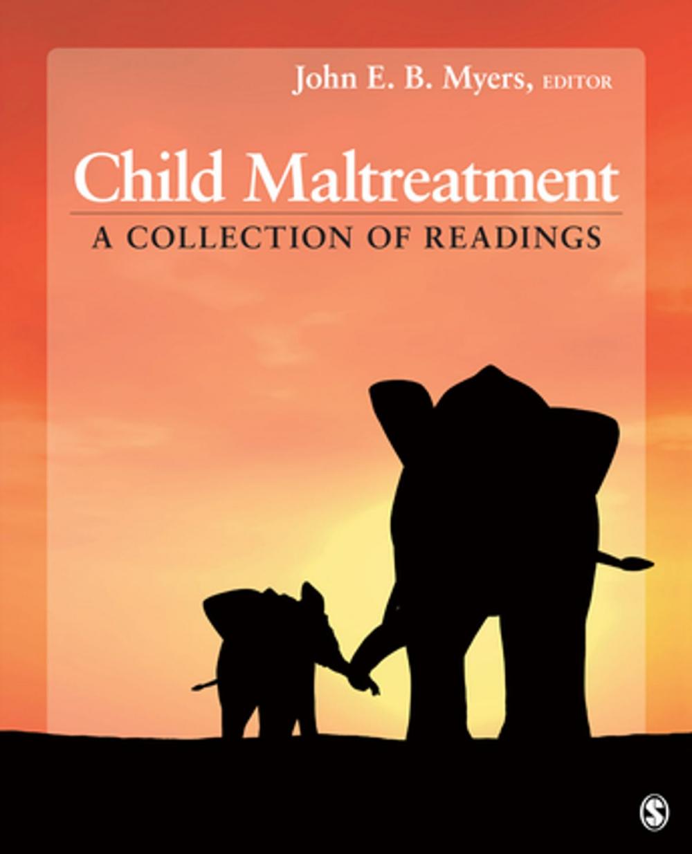 Big bigCover of Child Maltreatment