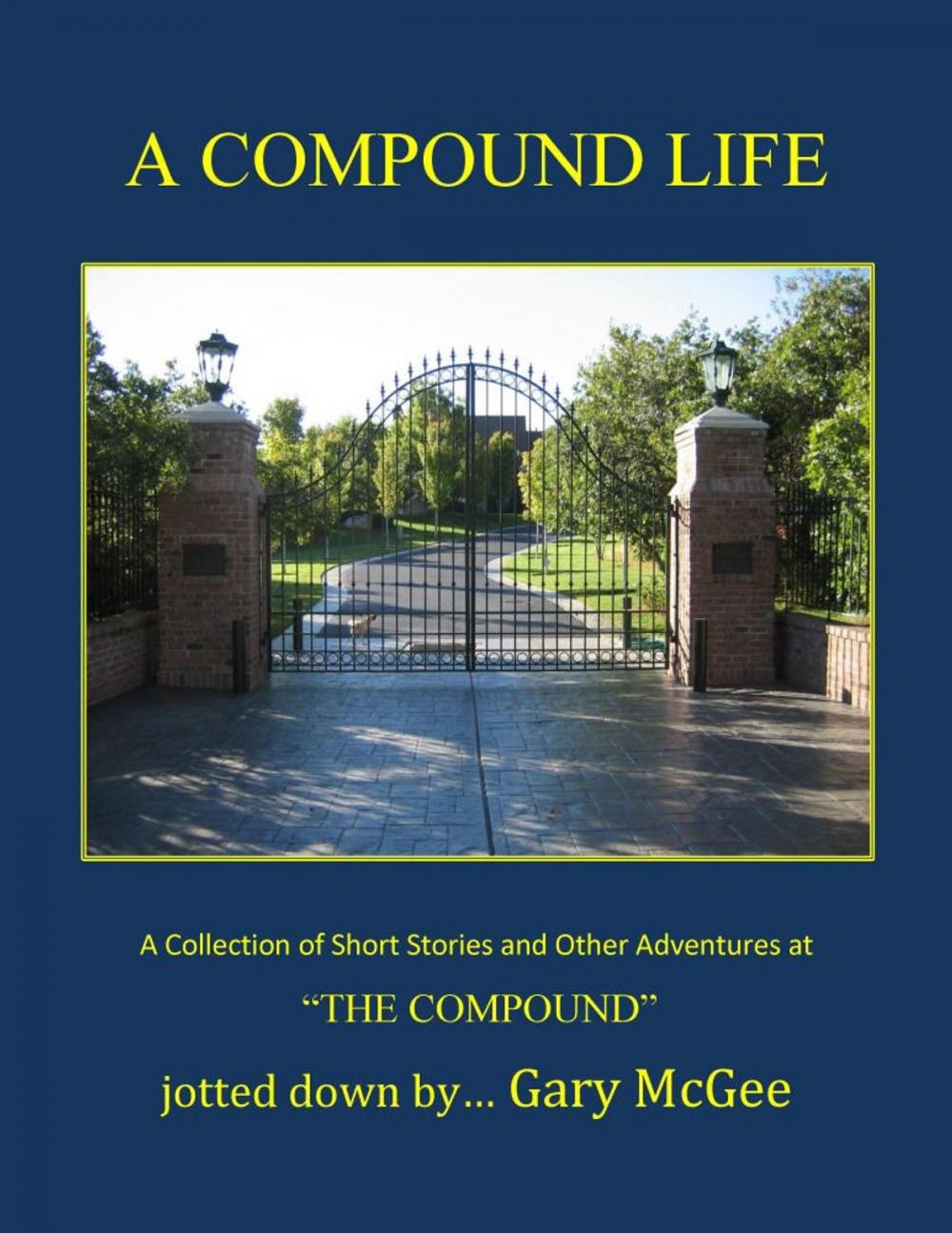 Big bigCover of A Compound Life