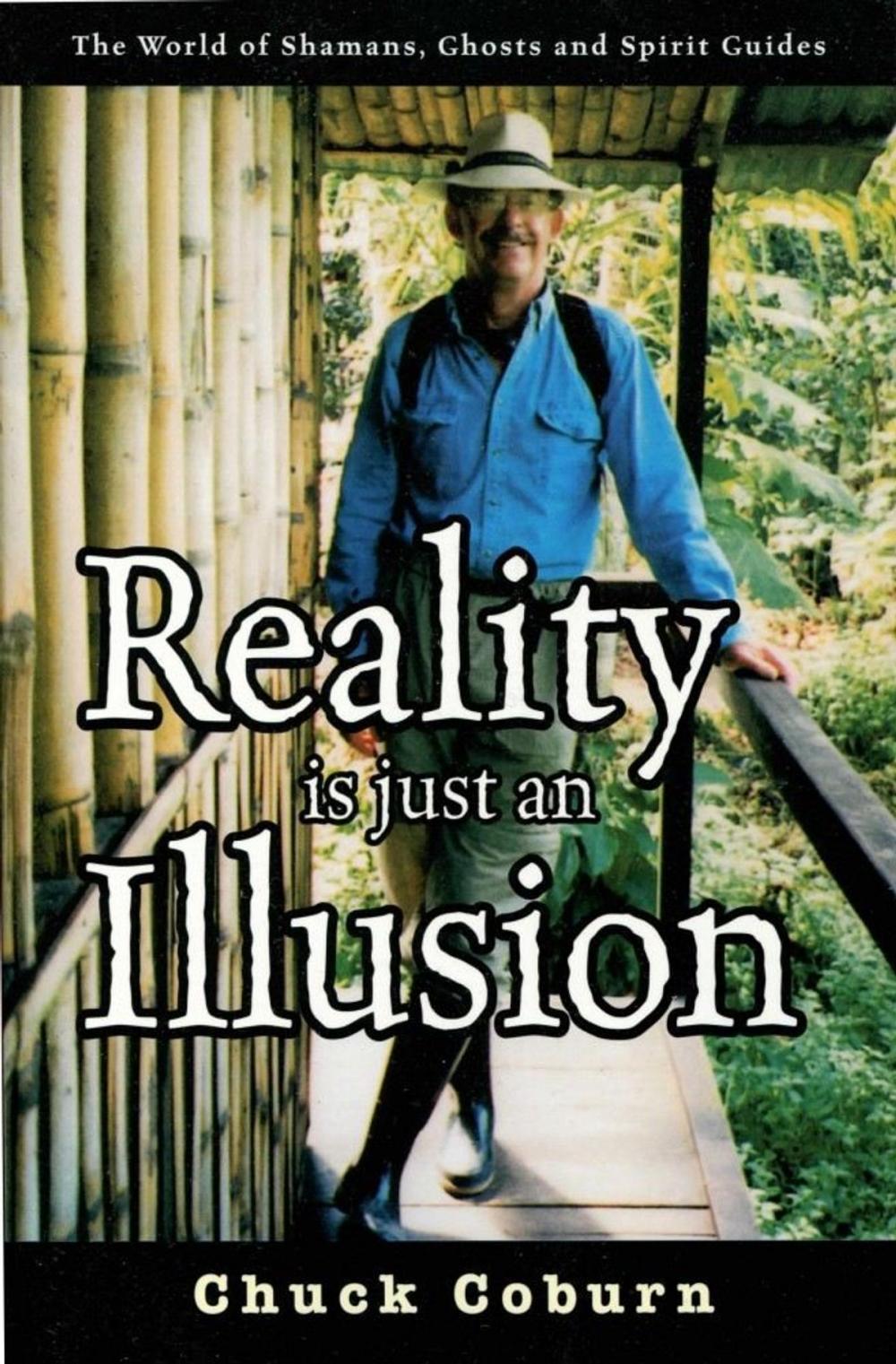 Big bigCover of Reality Is Just an Illusion