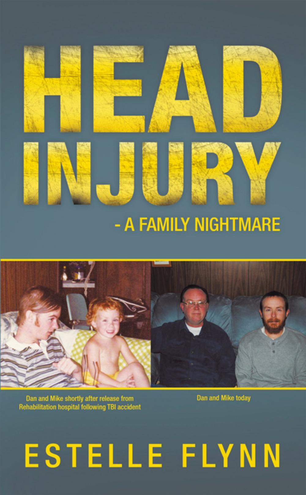 Big bigCover of Head Injury - a Family Nightmare