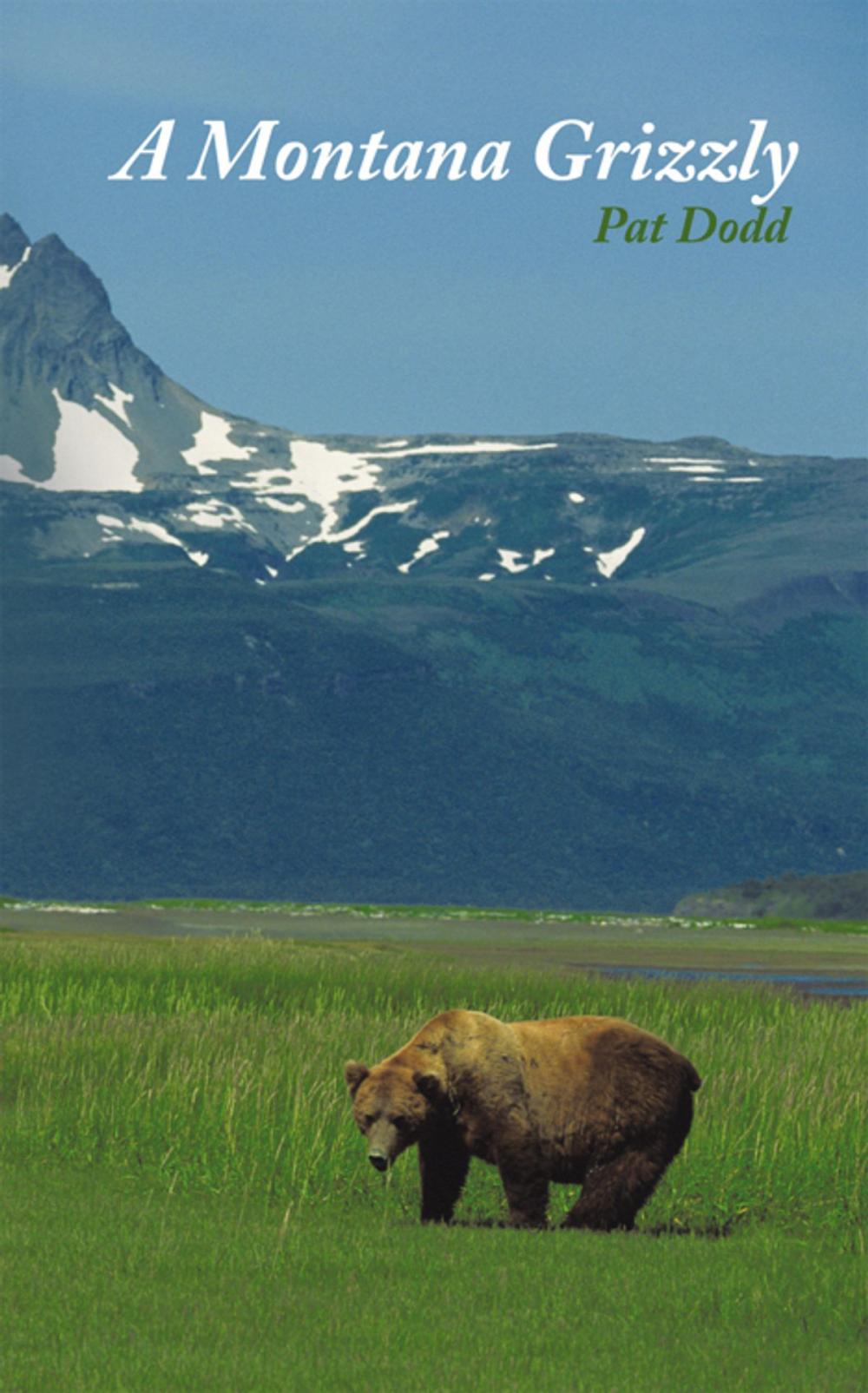 Big bigCover of A Montana Grizzly