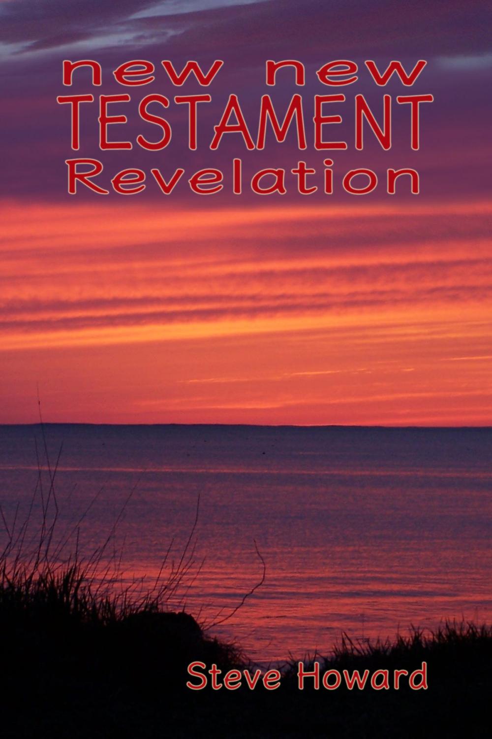 Big bigCover of New New Testament Revelation