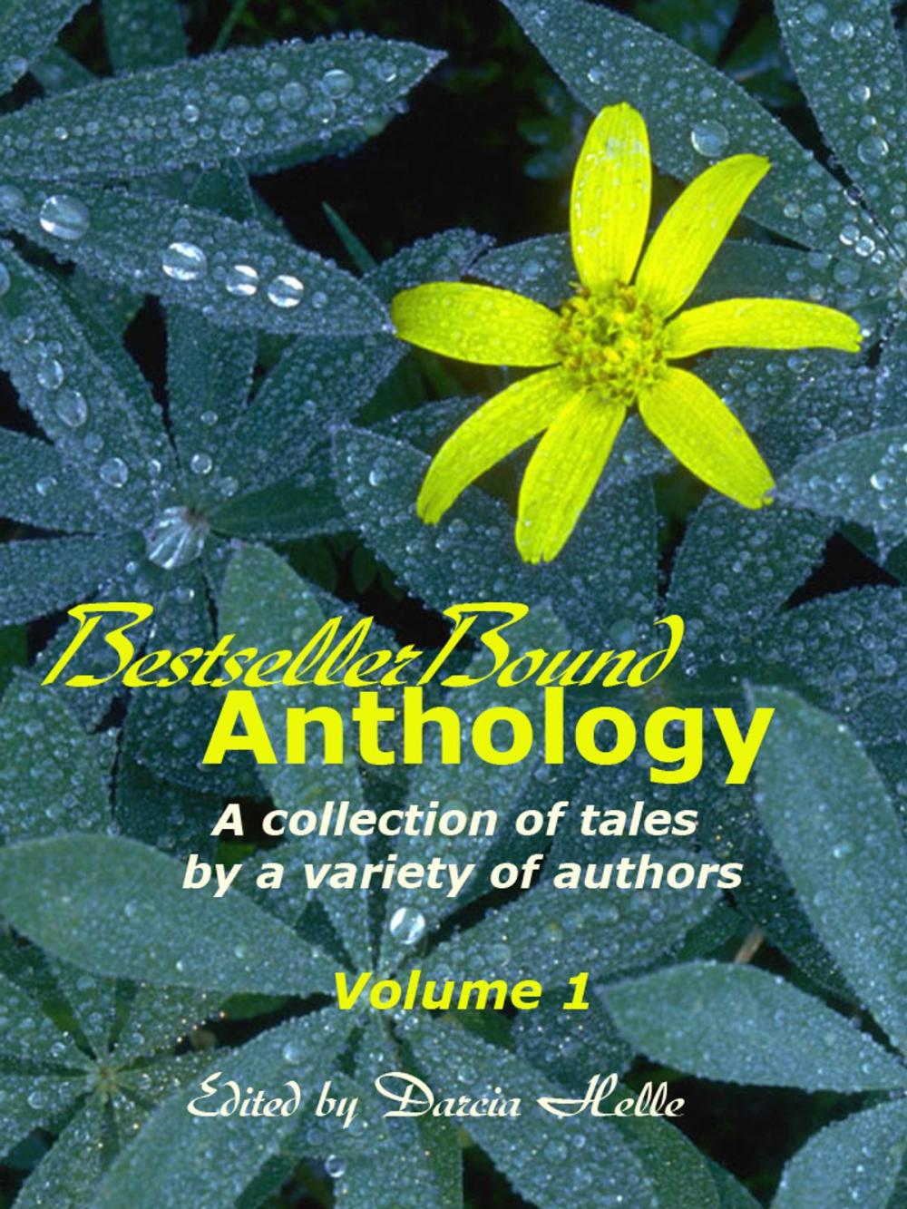 Big bigCover of BestsellerBound Short Story Anthology