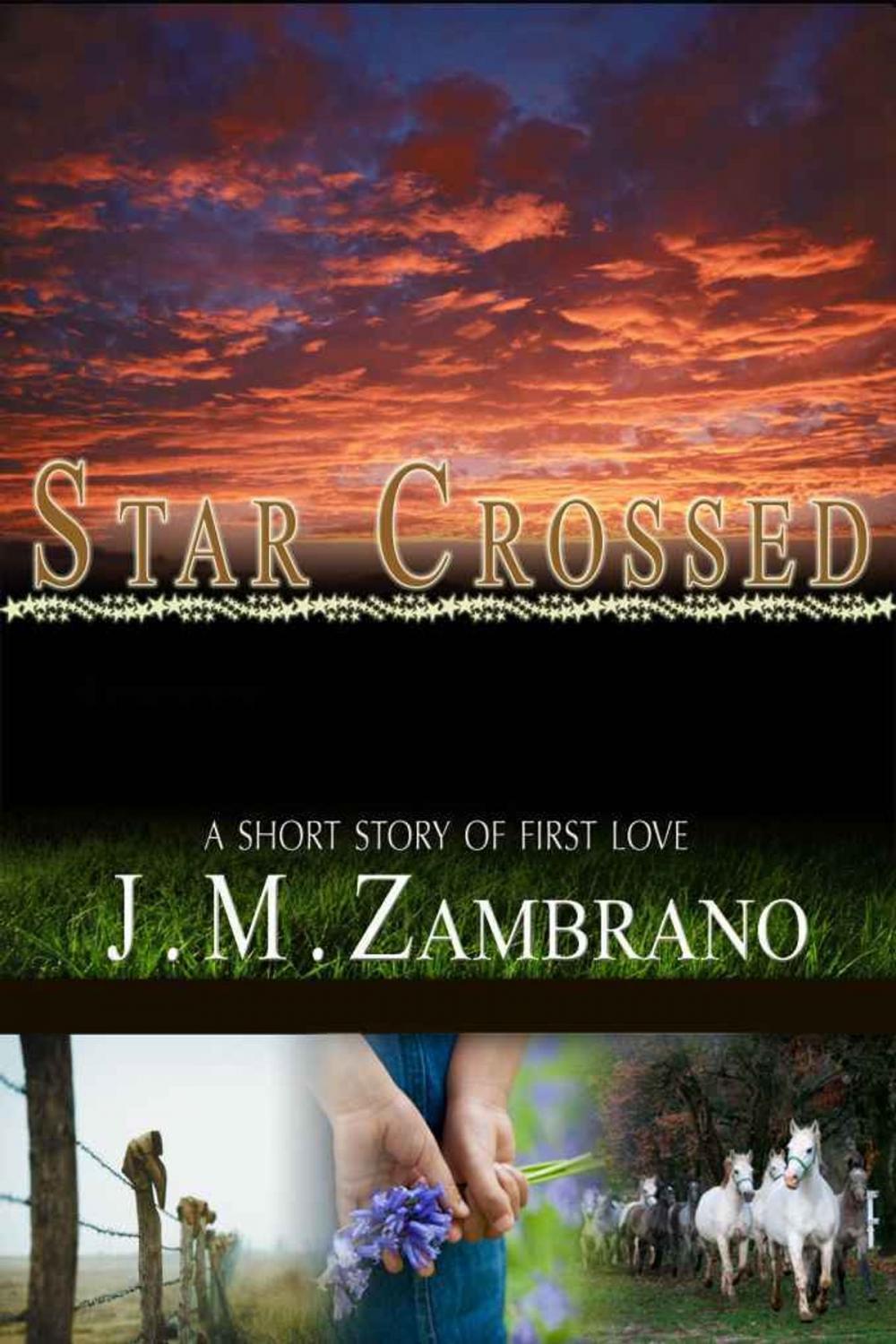 Big bigCover of Star Crossed