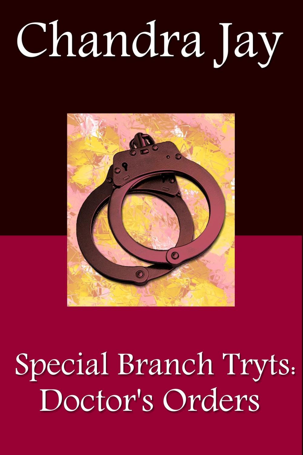 Big bigCover of Special Branch Trysts: Doctor's Orders