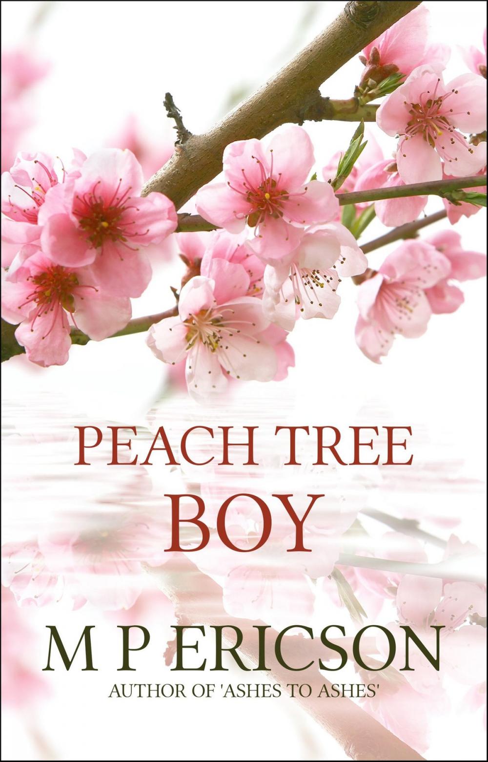 Big bigCover of Peach Tree Boy