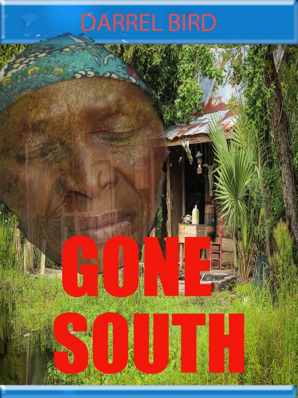 Big bigCover of Gone South