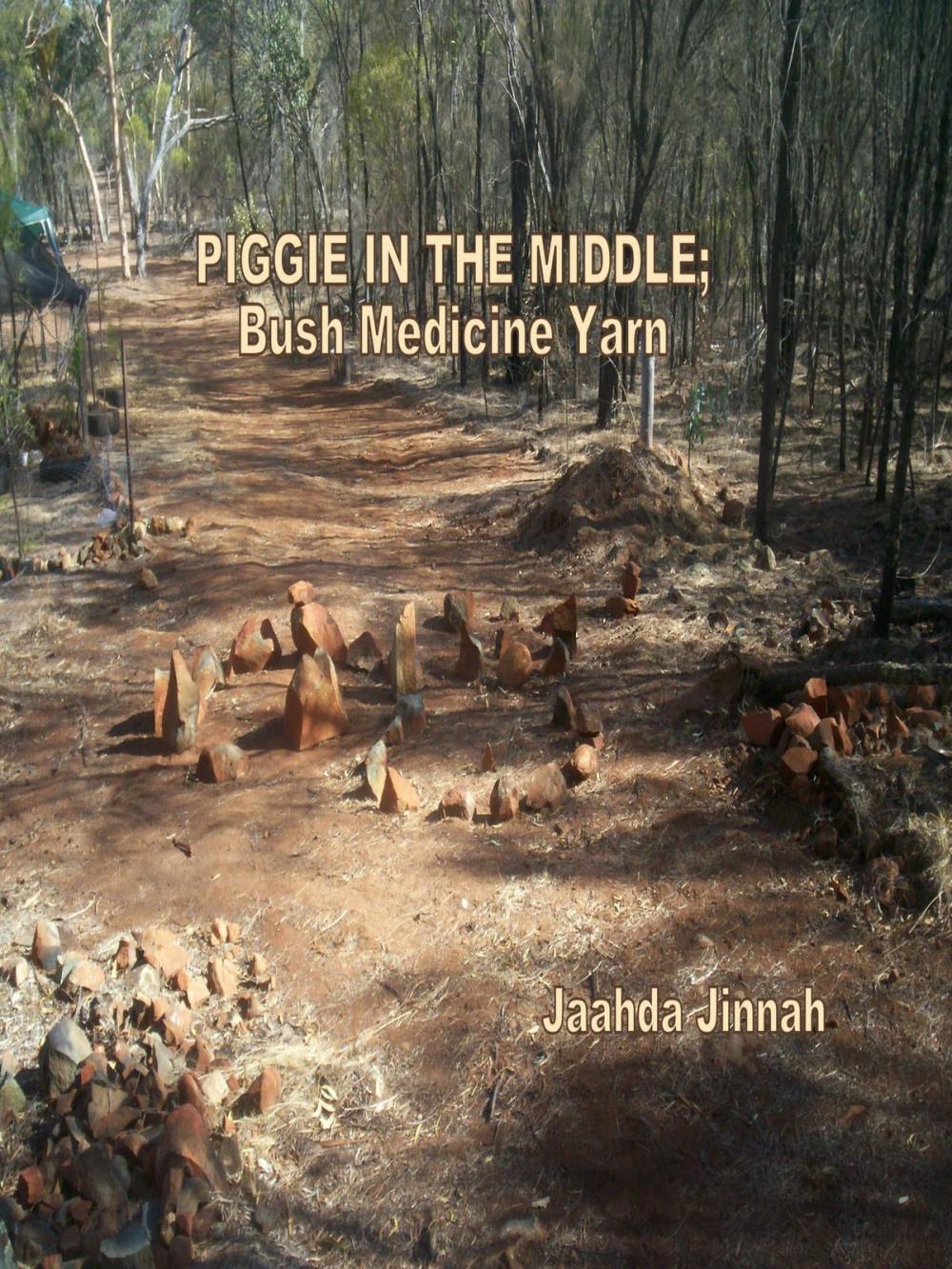 Big bigCover of Piggy in the Middle Story: Bush Medicine