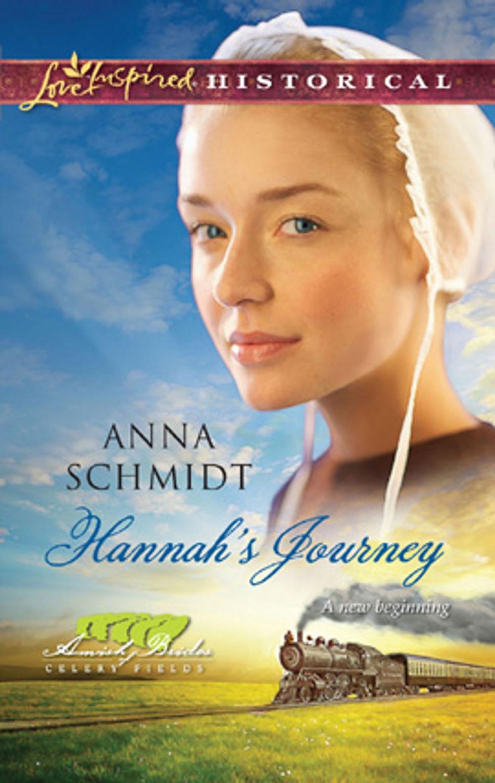 Big bigCover of Hannah's Journey