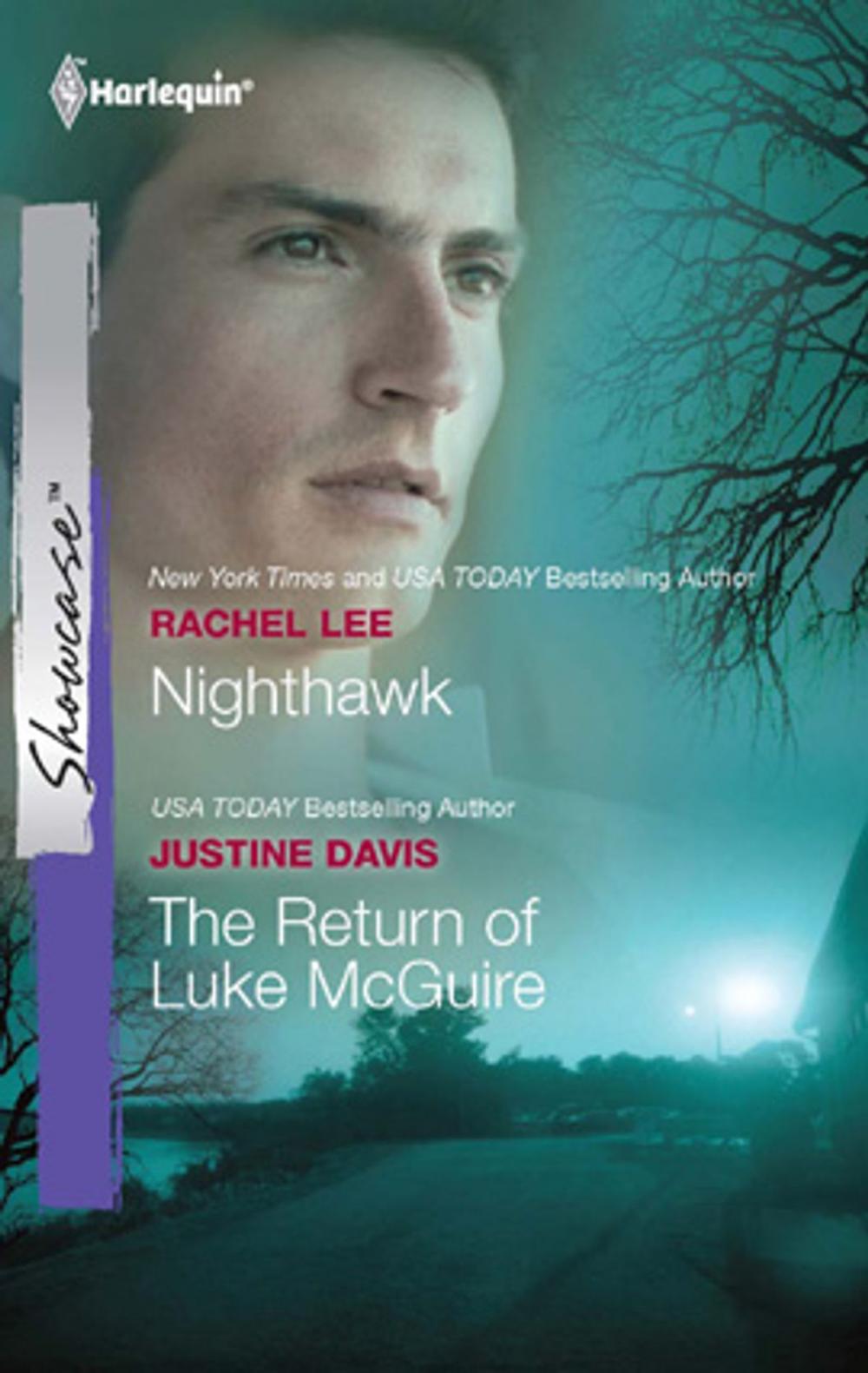 Big bigCover of Nighthawk & The Return of Luke McGuire