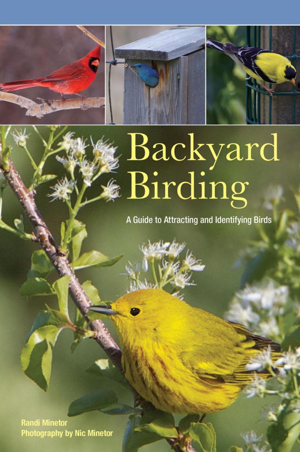 Big bigCover of Backyard Birding