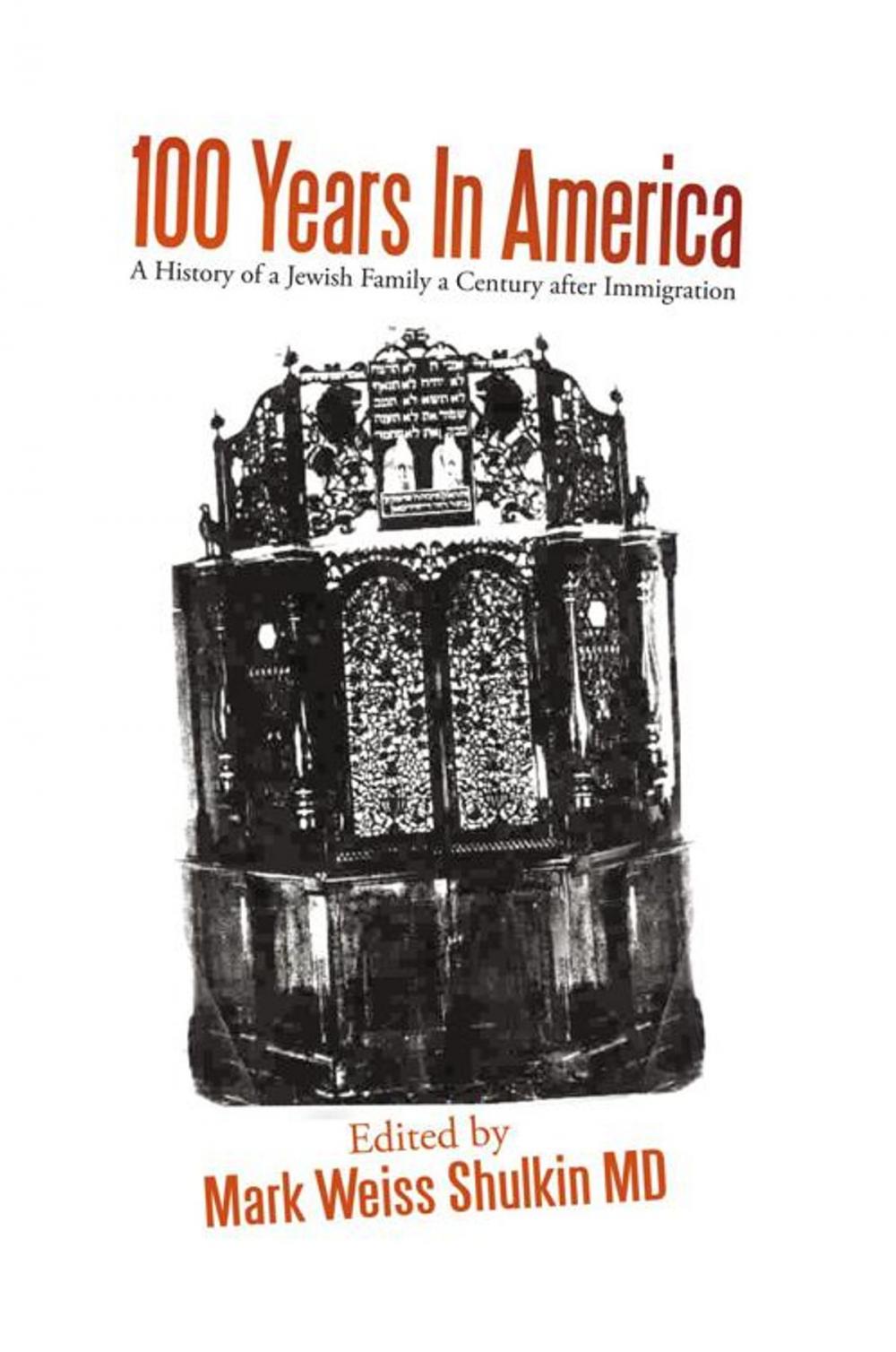 Big bigCover of 100 Years in America