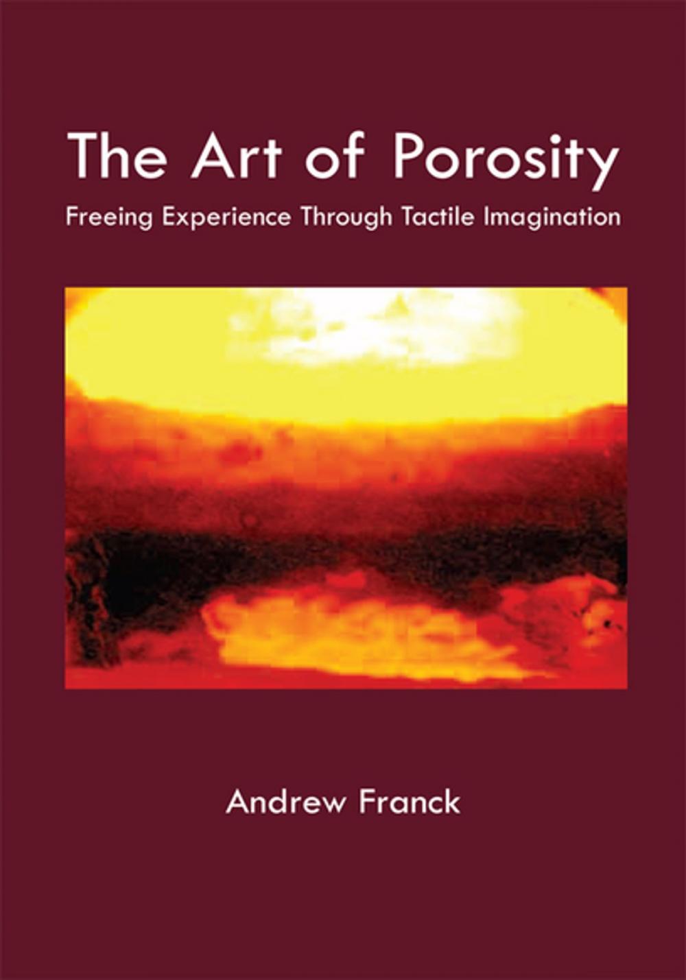 Big bigCover of The Art of Porosity