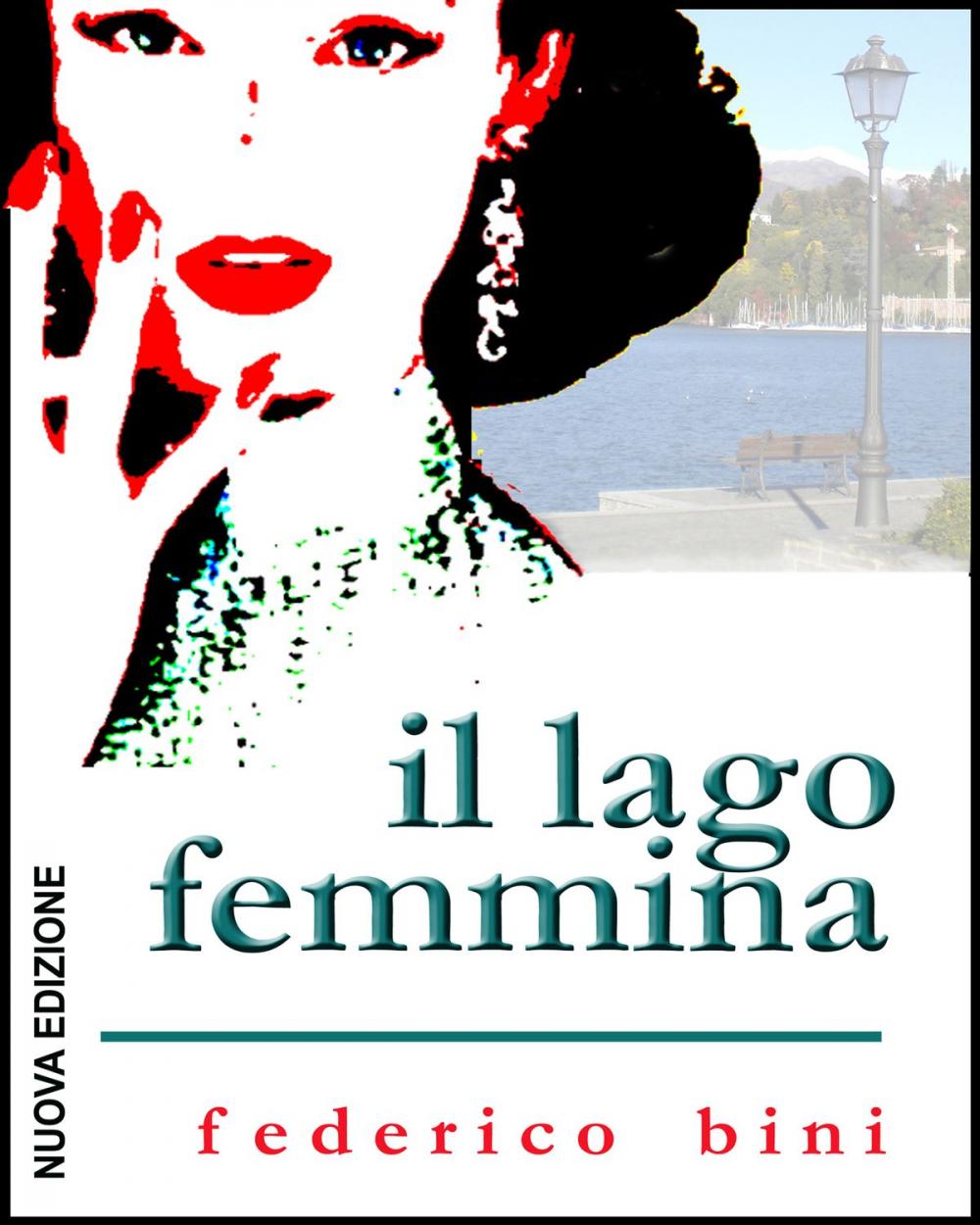 Big bigCover of Il lago femmina