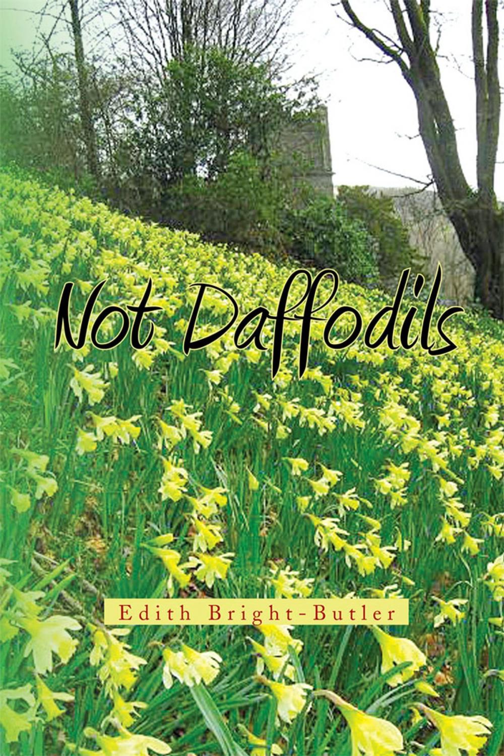 Big bigCover of Not Daffodils