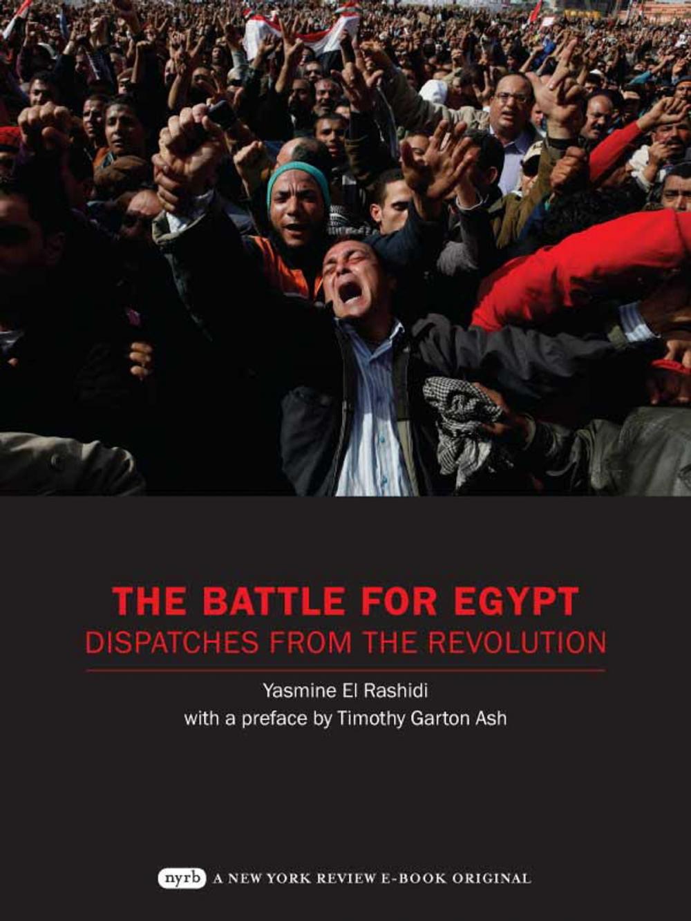 Big bigCover of The Battle for Egypt