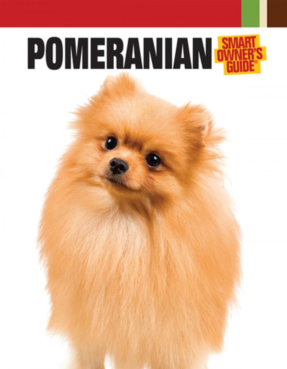 Big bigCover of Pomeranian