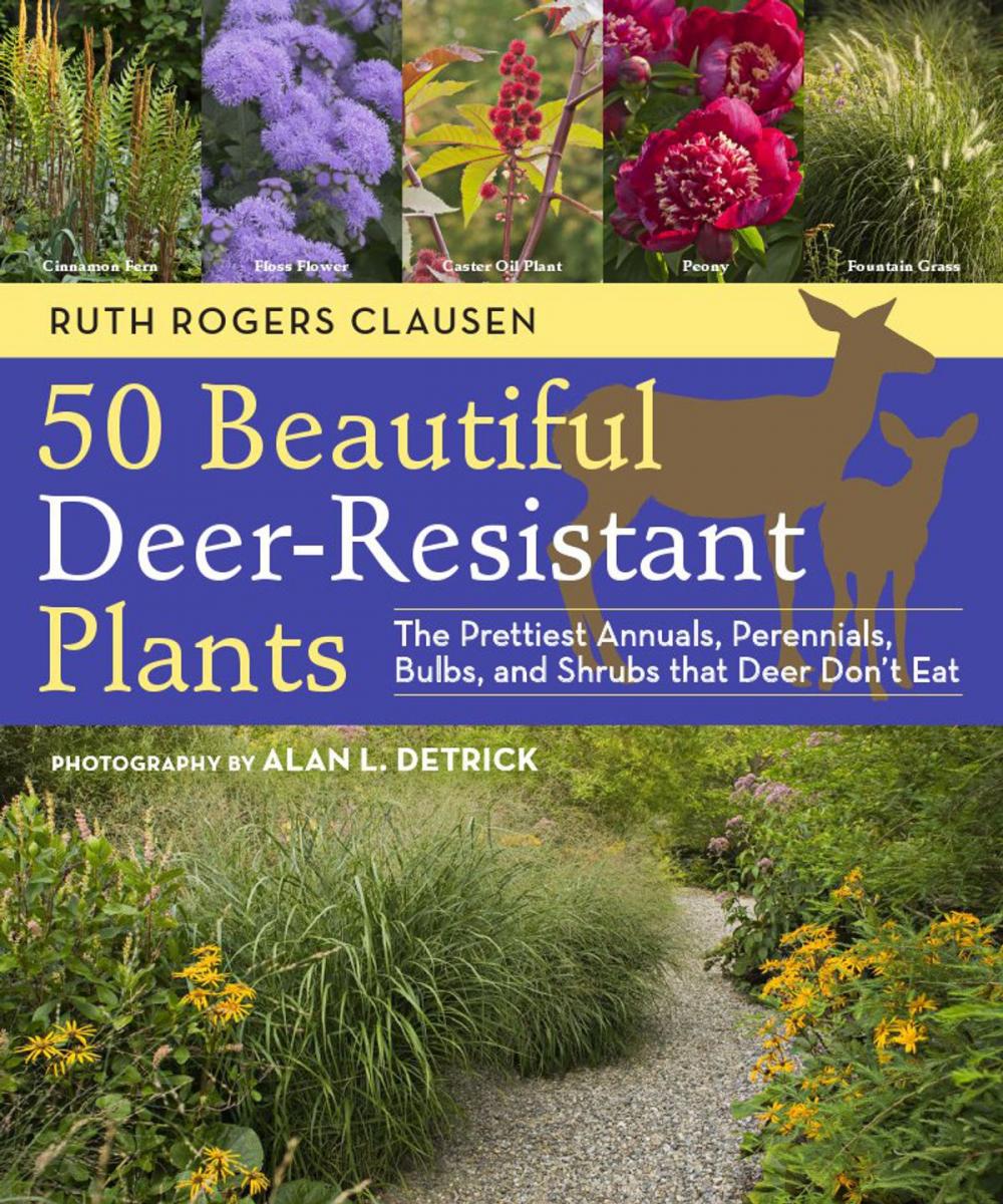 Big bigCover of 50 Beautiful Deer-Resistant Plants