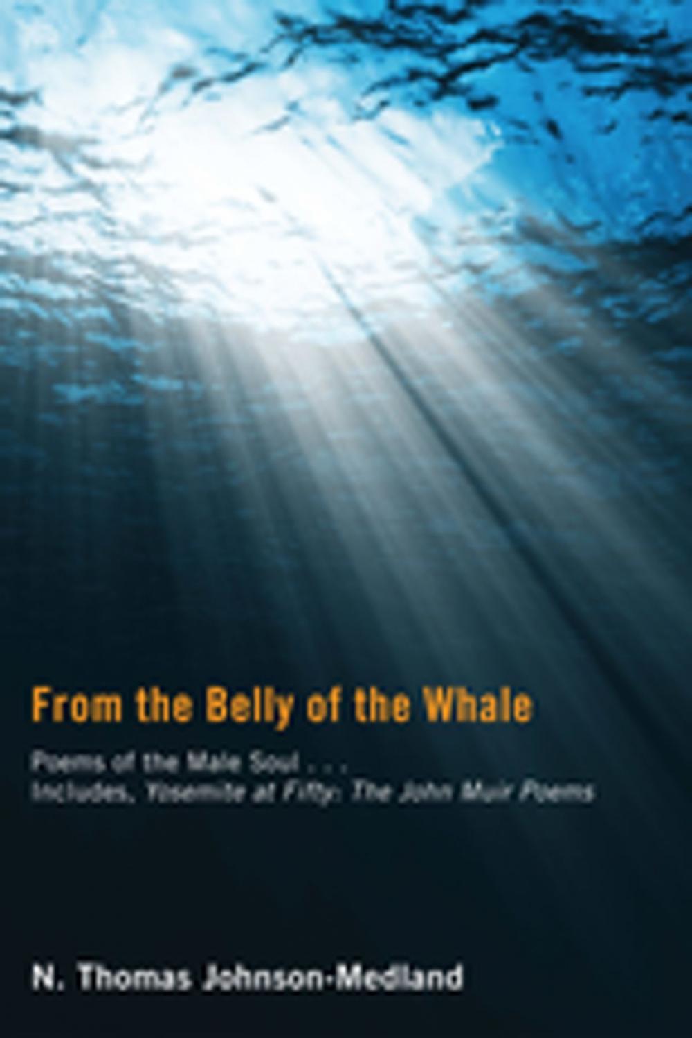 Big bigCover of From the Belly of the Whale