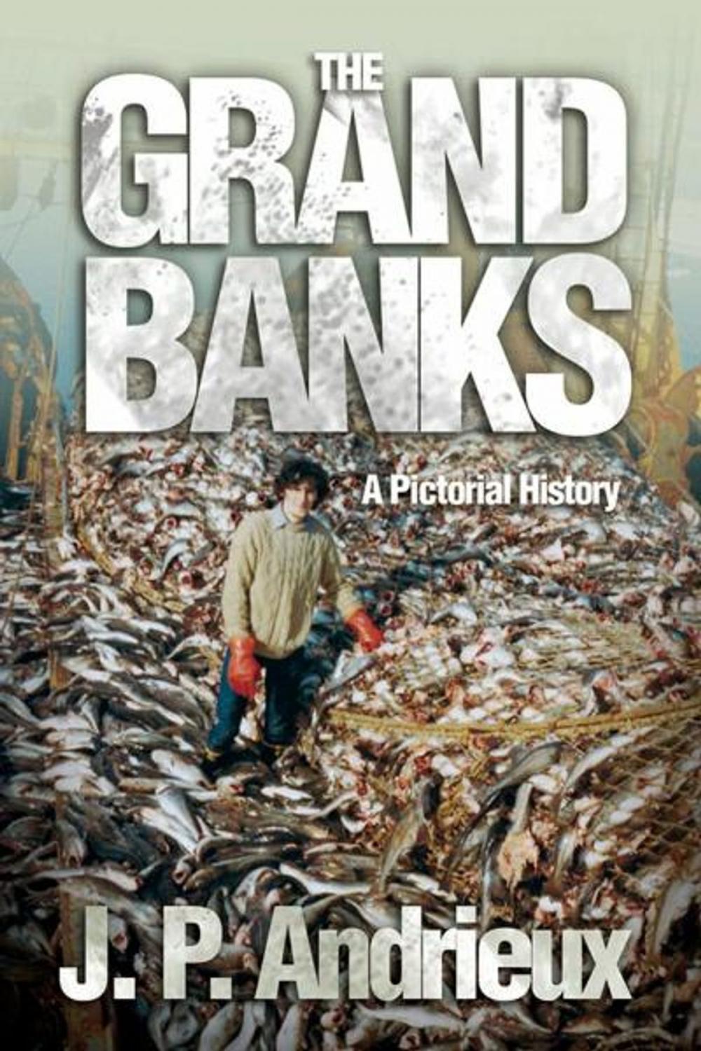 Big bigCover of The Grand Banks: A Pictorial History