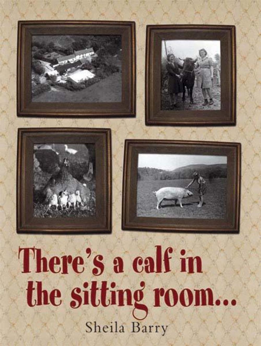 Big bigCover of There's a calf in the sitting room.…