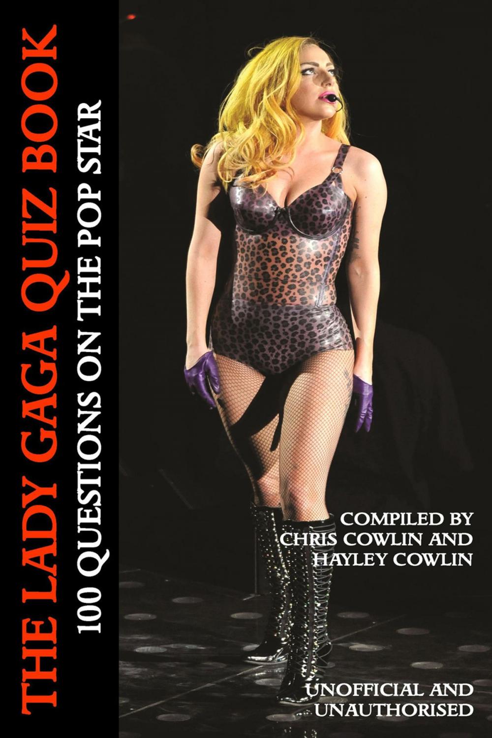 Big bigCover of The Lady Gaga Quiz Book