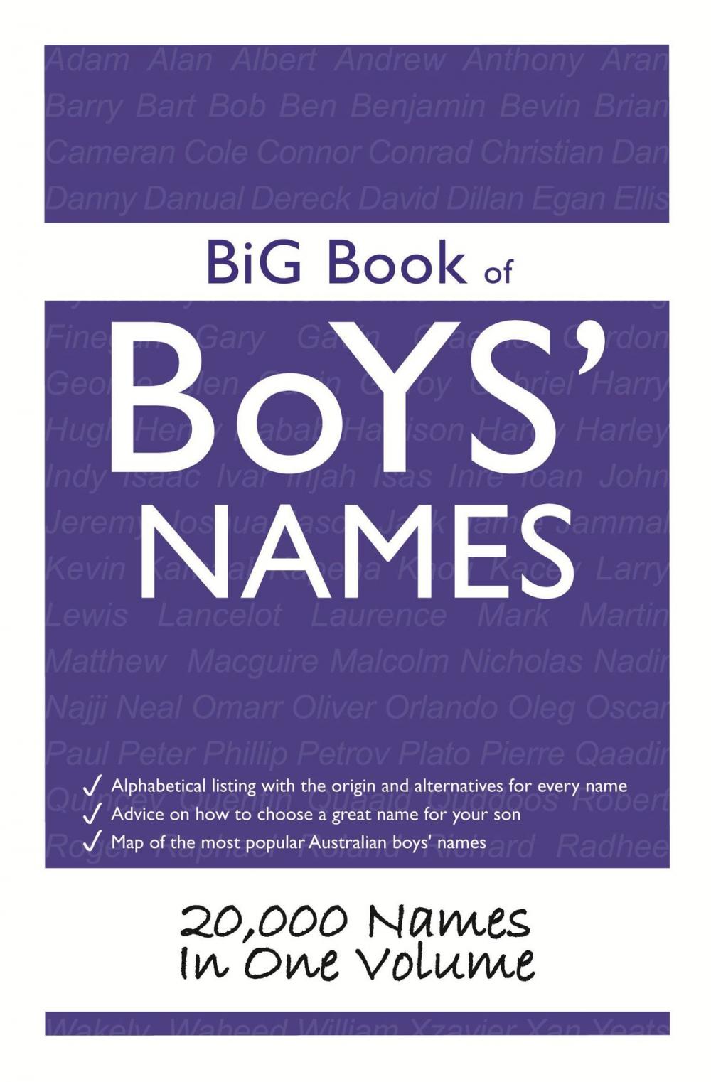 Big bigCover of Big Book of Boys Names