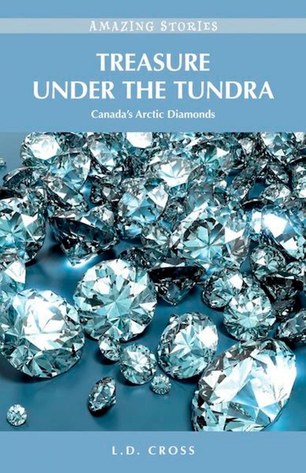 Big bigCover of Treasure Under the Tundra