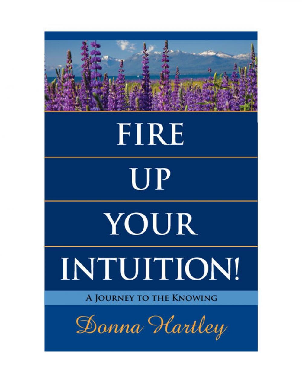 Big bigCover of Fire Up Your Intuition: A Journey to the Knowing