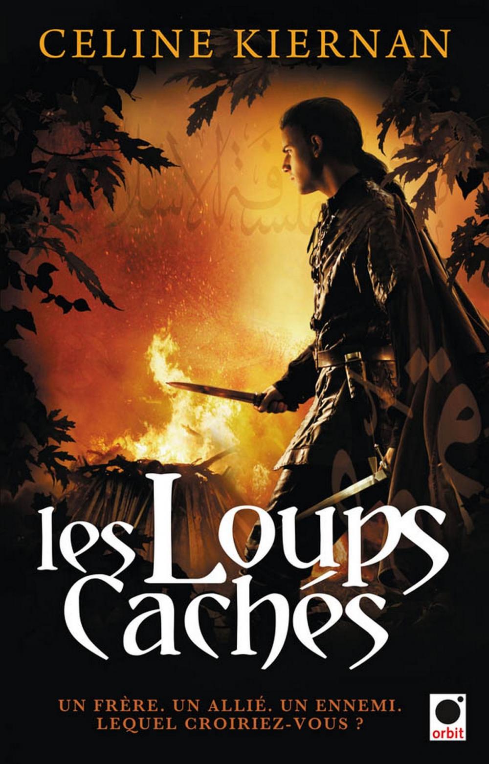 Big bigCover of Les loups cachés (Les Moorehawke**)