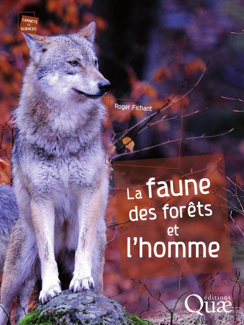 Big bigCover of La faune des forêts et l'homme