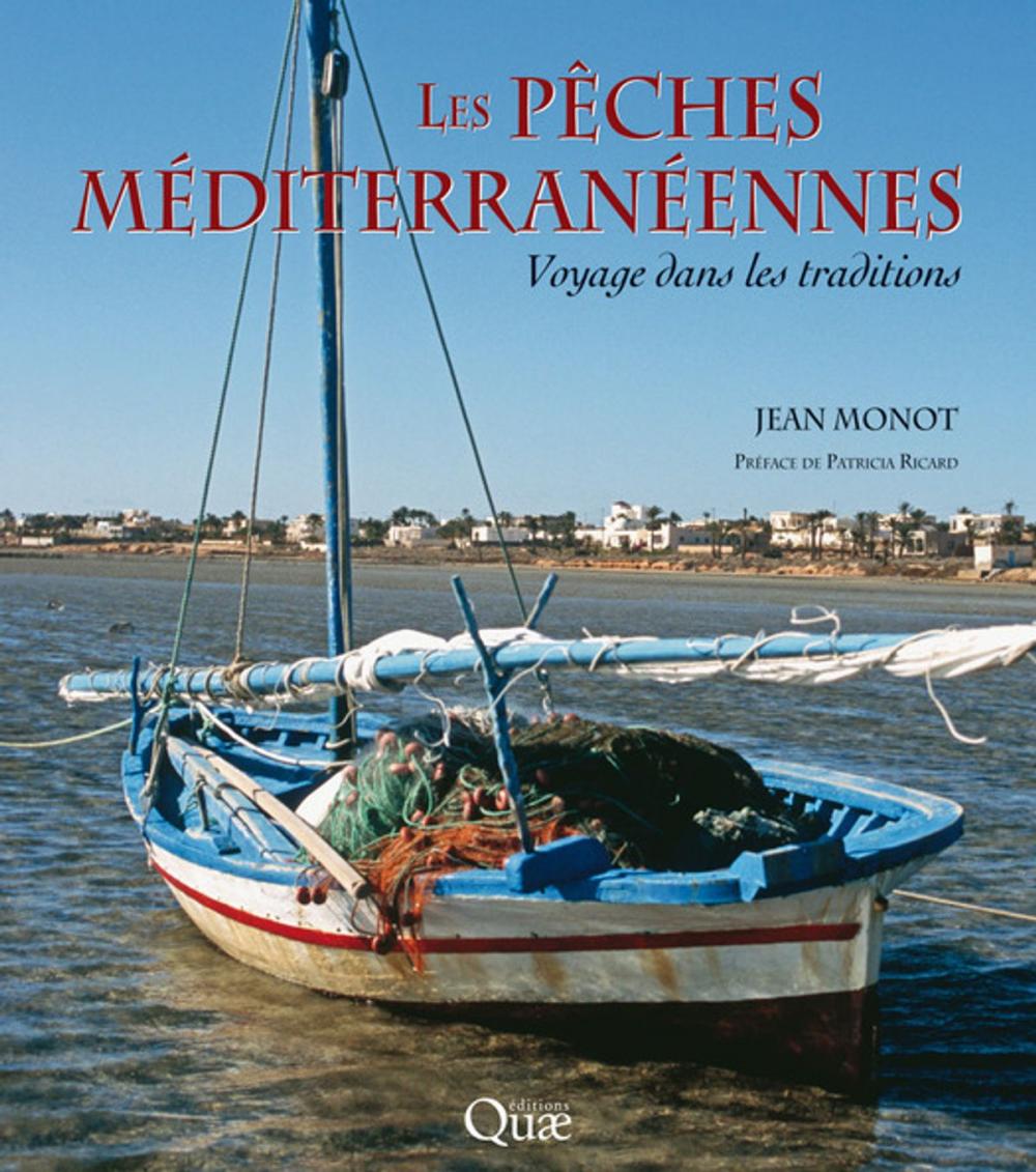 Big bigCover of Les pêches méditerranéennes