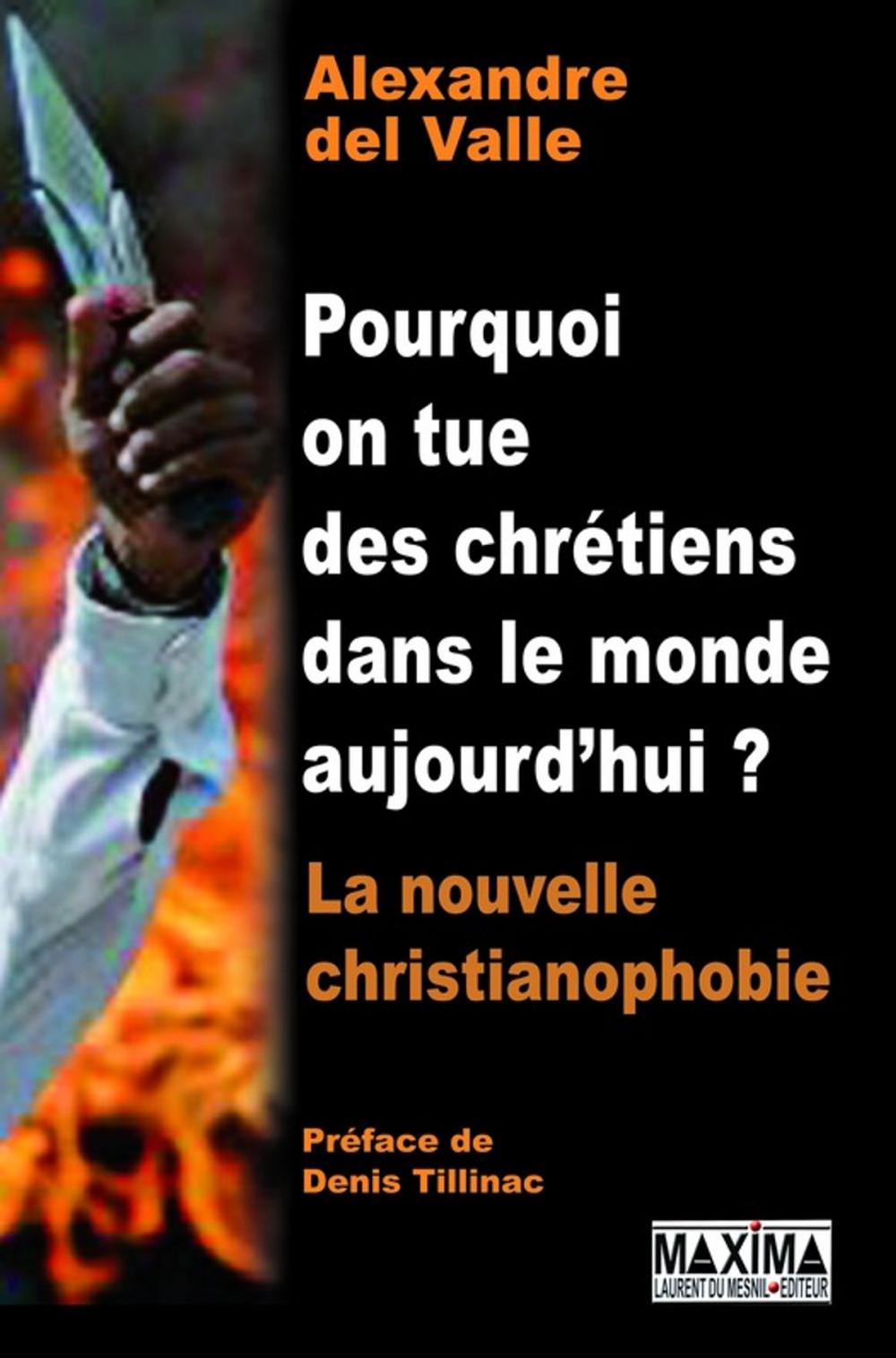 Big bigCover of Pourquoi on tue des chrétiens dans le monde aujourd'hui ? - la nouvelle christianophobie