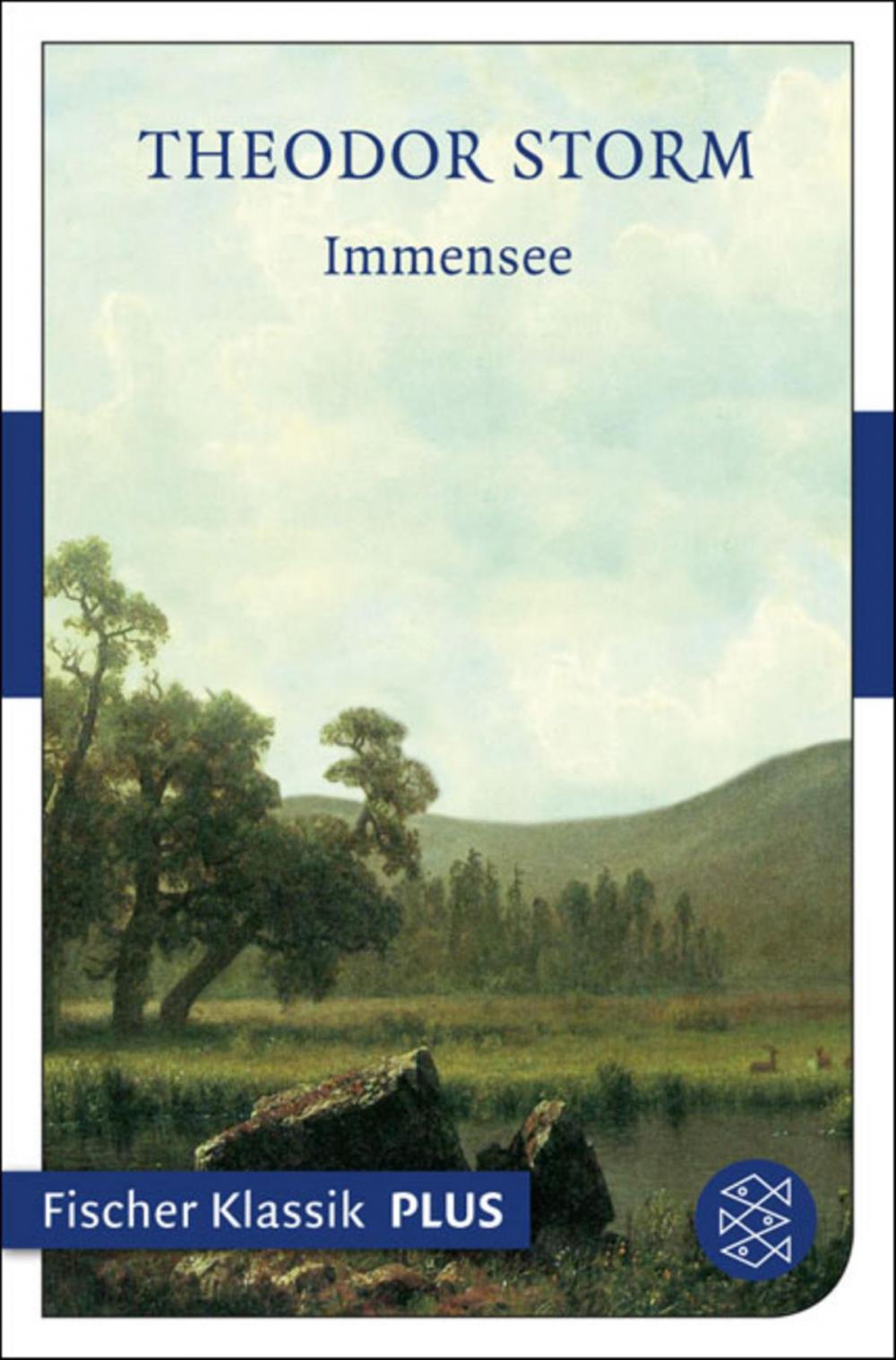 Big bigCover of Immensee