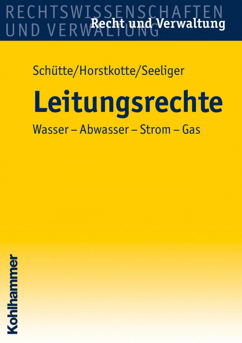 Big bigCover of Leitungsrechte