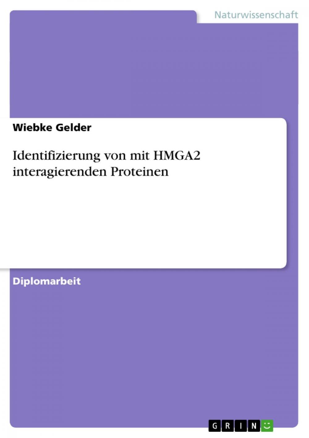 Big bigCover of Identifizierung von mit HMGA2 interagierenden Proteinen