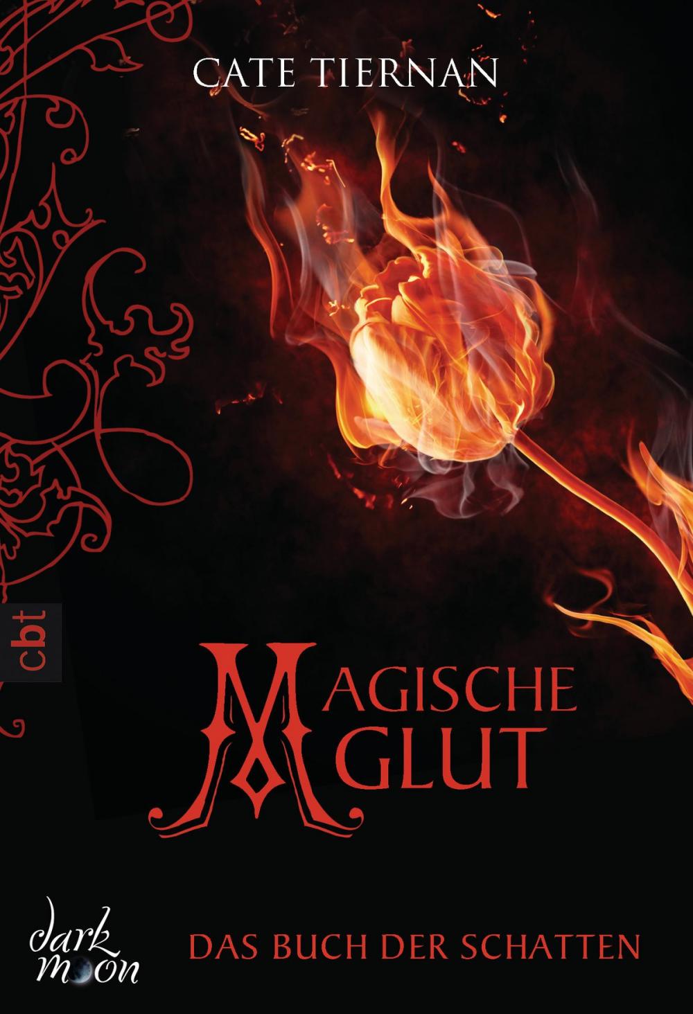 Big bigCover of Das Buch der Schatten - Magische Glut