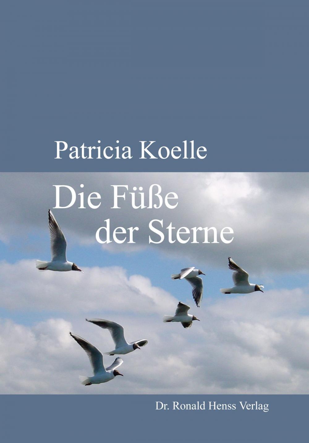 Big bigCover of Die Füße der Sterne