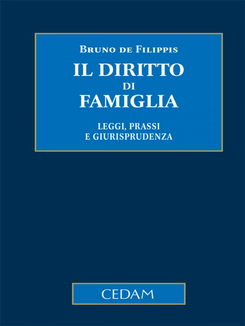 Big bigCover of Il diritto di famiglia