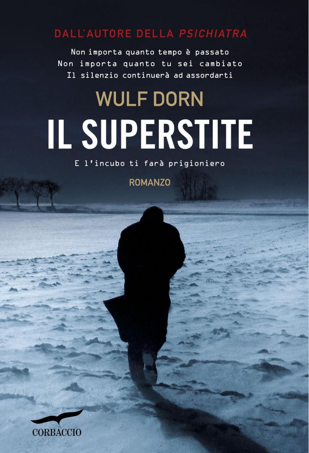 Big bigCover of Il superstite