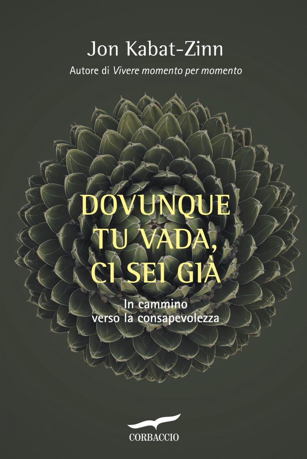 Big bigCover of Dovunque tu vada, ci sei già