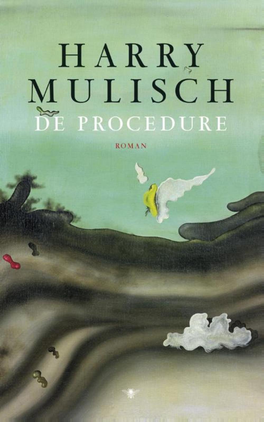 Big bigCover of De procedure