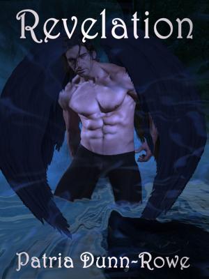 Book cover of Revelation (Vol 3 - The Gifts: Trilogy)
