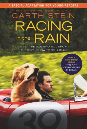 Cover of the book Racing in the Rain by Erin Hunter
