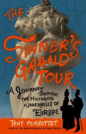 Book cover of The Sinner's Grand Tour