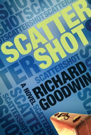 Cover of the book Scattershot by Mike Slosberg