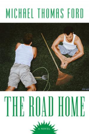 Cover of the book The Road Home by Hannah Howell, Lynsay Sands, Jackie Kessler, Richelle Mead
