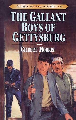 Cover of the book The Gallant Boys of Gettysburg by John F. Walvoord, Charles H. Dyer