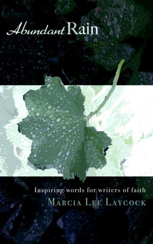 Book cover of Abundant Rain