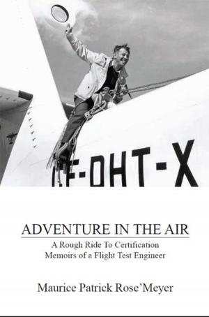 Book cover of Adventure In The Air